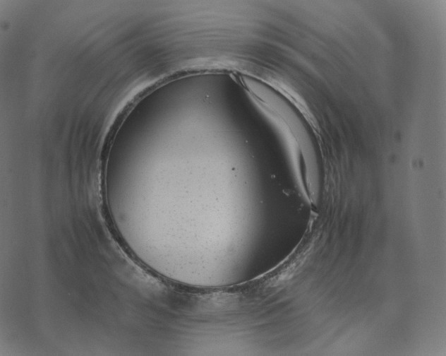 X0000070370992200606231643