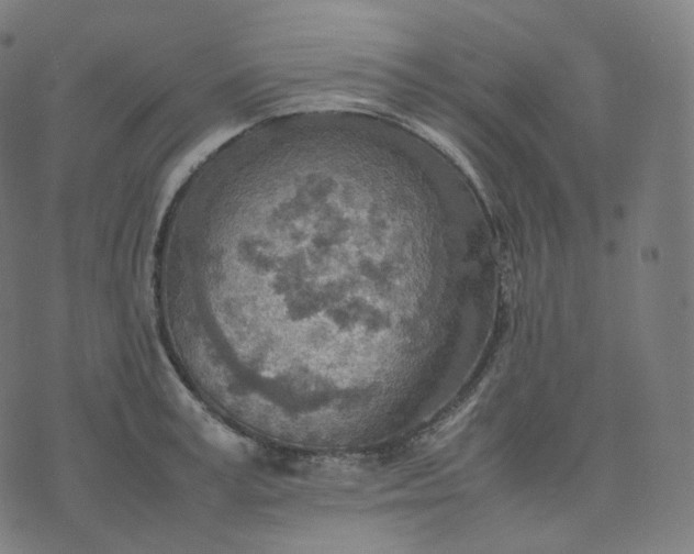 X0000070370995200606231643