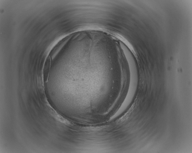 X0000070370996200606231643