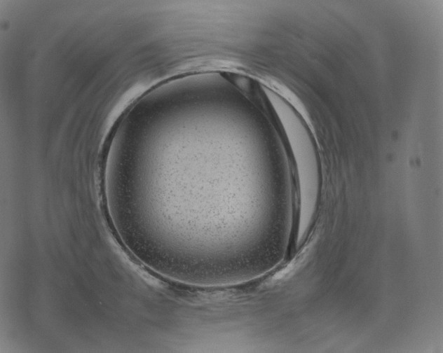 X0000070370997200606231643