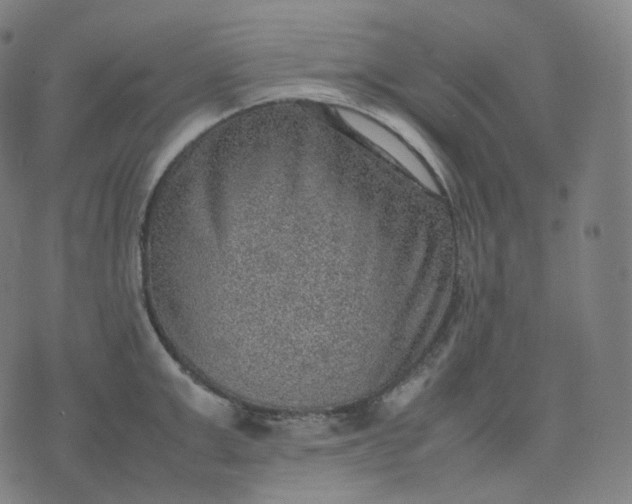 X0000070370999200606231643