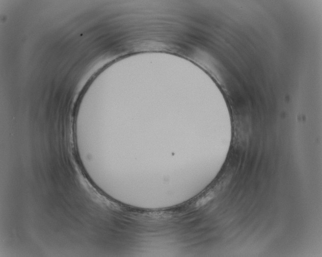 X0000070371000200606231643