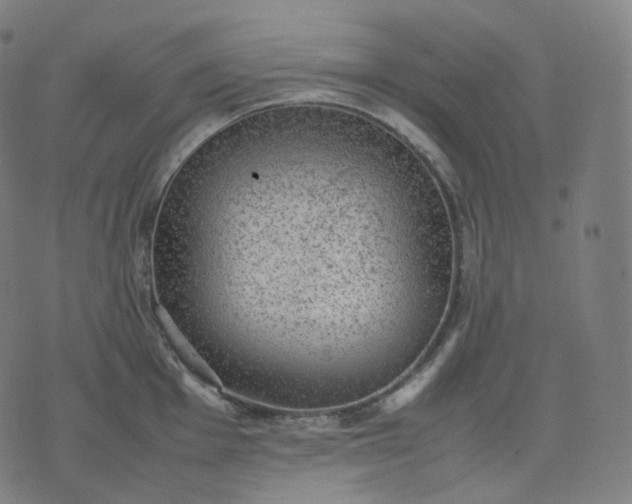 X0000070371001200606231643