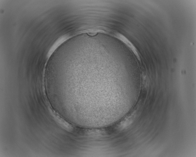 X0000070371002200606231643