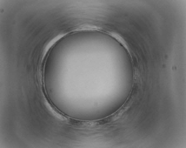 X0000070371003200606231642