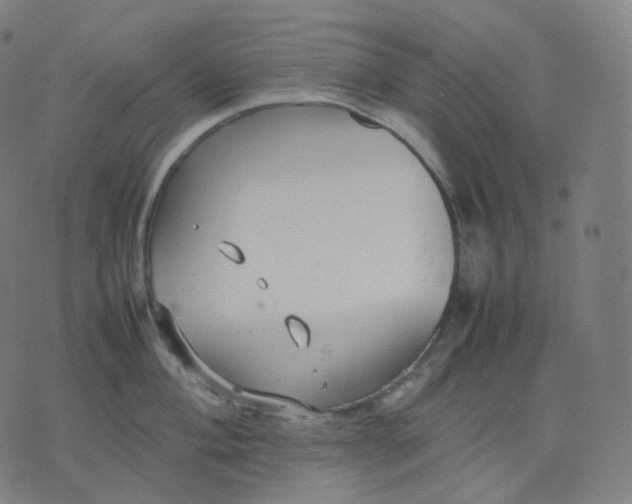 X0000070371004200606231642