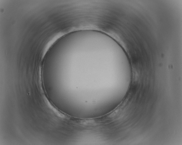 X0000070371006200606231642