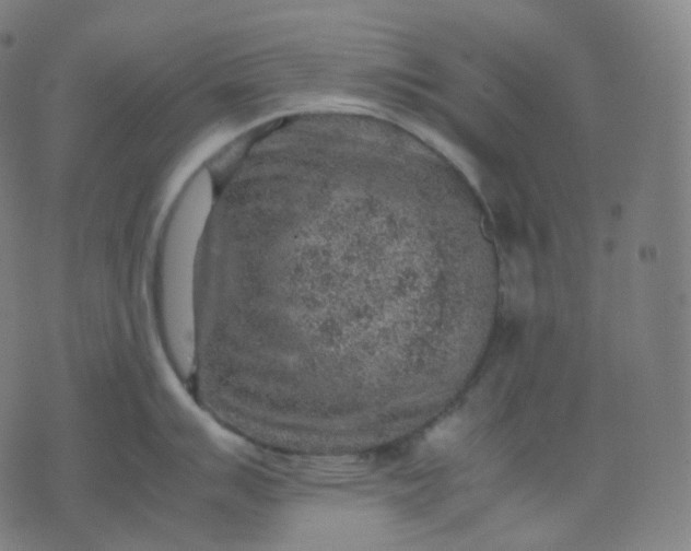 X0000070371007200606231642