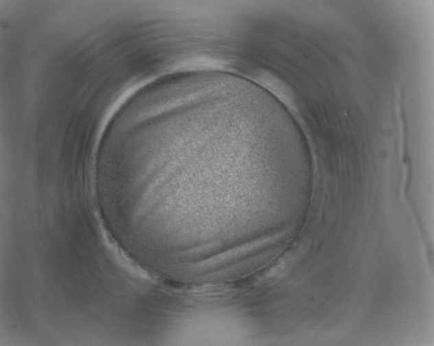 X0000070371008200606231642