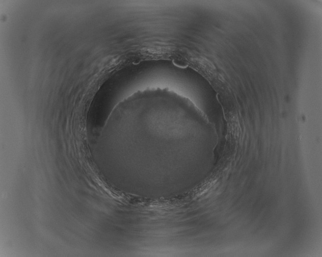 X0000070371009200606231642