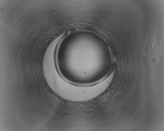 X0000070371010200606231642