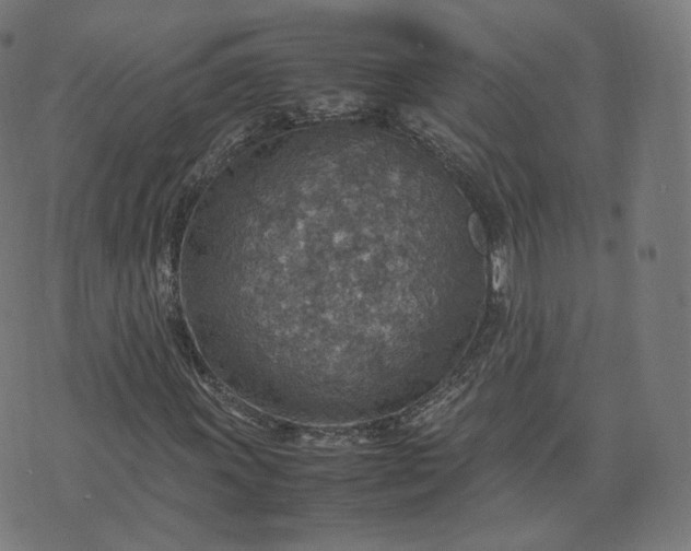 X0000070371011200606231642