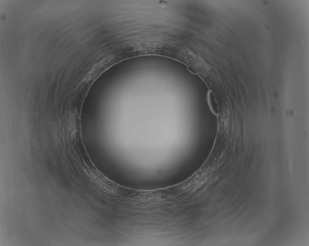 X0000070371012200606231642