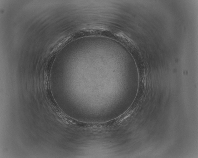 X0000070371014200606231642