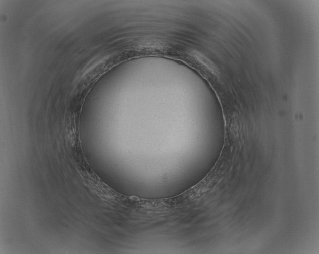 X0000070371015200606231642