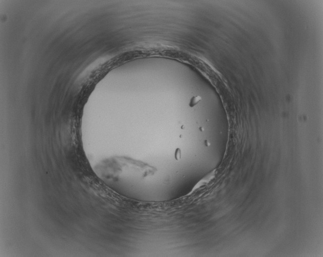 X0000070371016200606231642