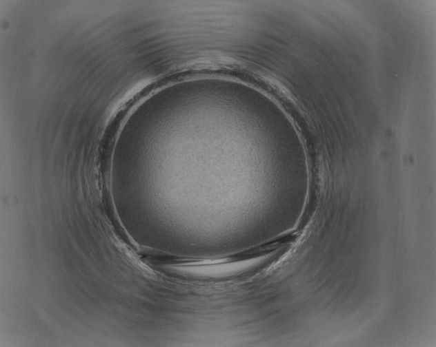 X0000070371018200606231642