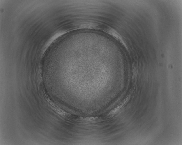 X0000070371019200606231642