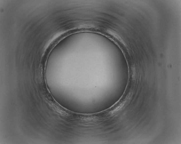 X0000070371021200606231642