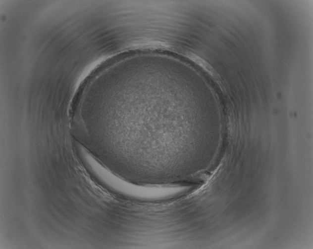 X0000070371022200606231642