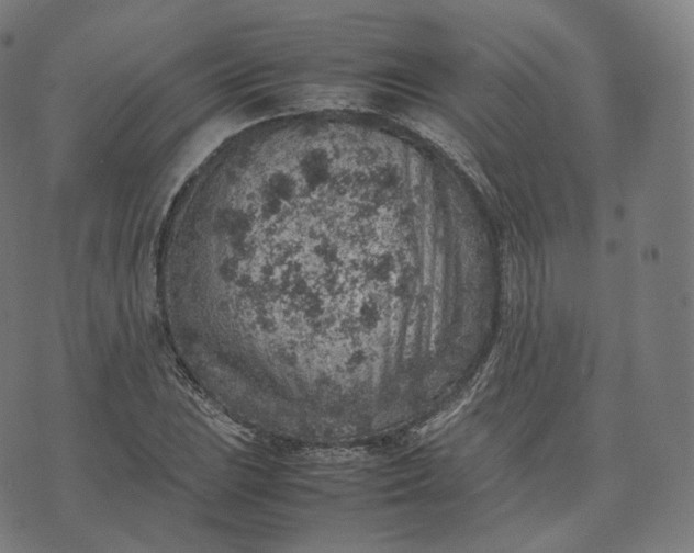 X0000070371023200606231642