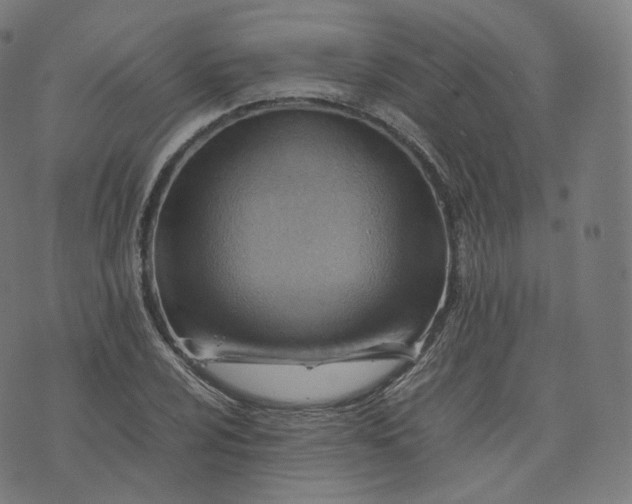 X0000070371024200606231642