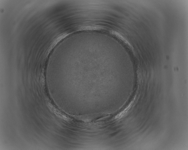 X0000070371025200606231642