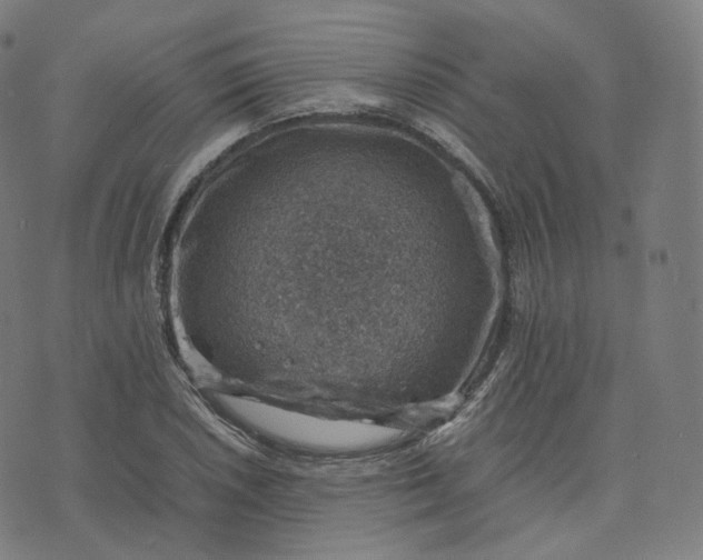 X0000070371026200606231642