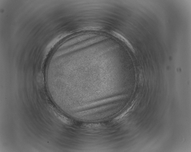 X0000070371027200606231642