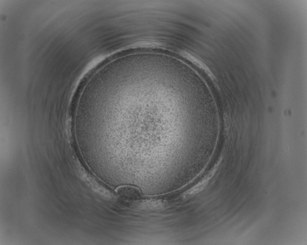 X0000070371029200606231642