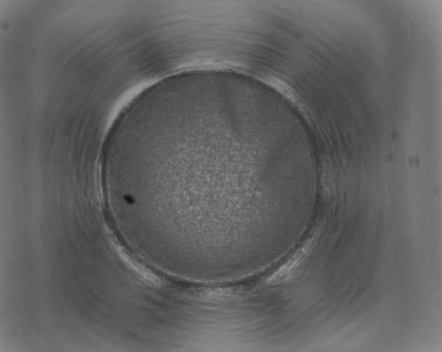 X0000070371030200606231642