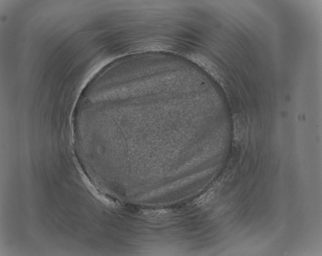 X0000070371031200606231642