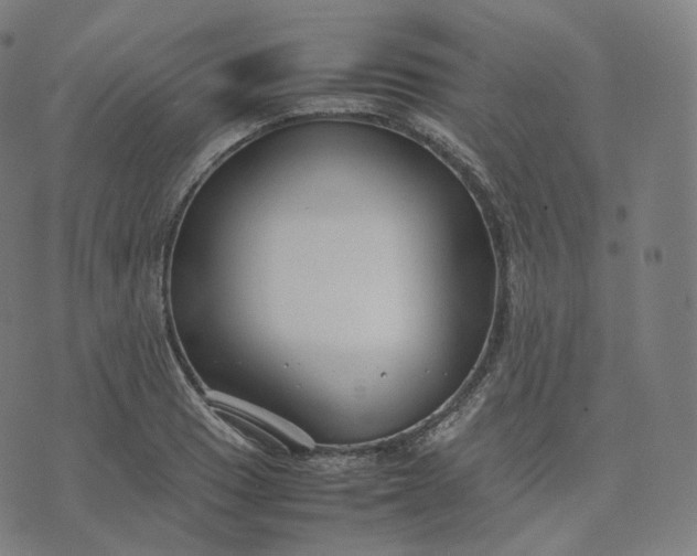 X0000070371033200606231642