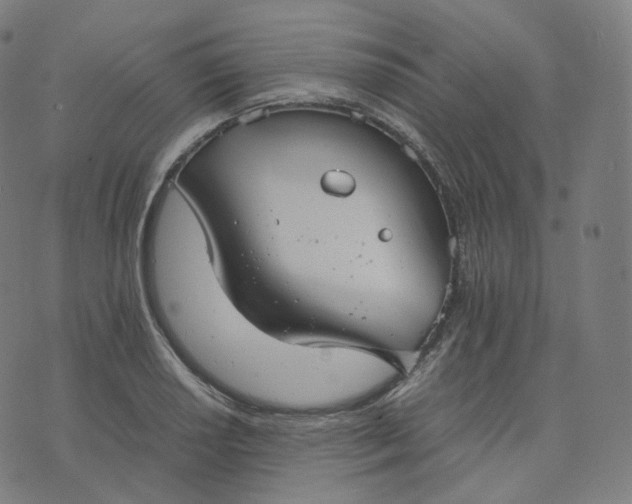 X0000070371034200606231642