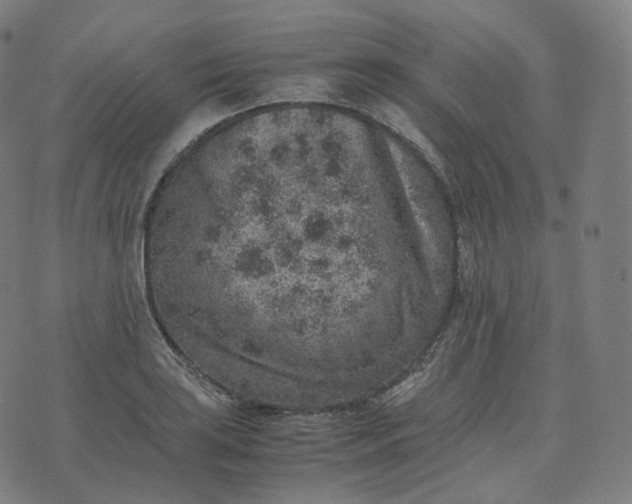 X0000070371035200606231642