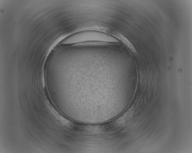 X0000070371036200606231642