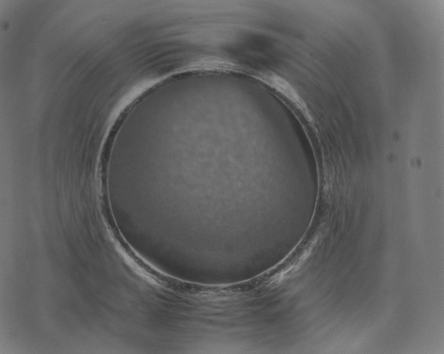 X0000070371037200606231642