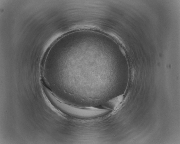 X0000070371038200606231642