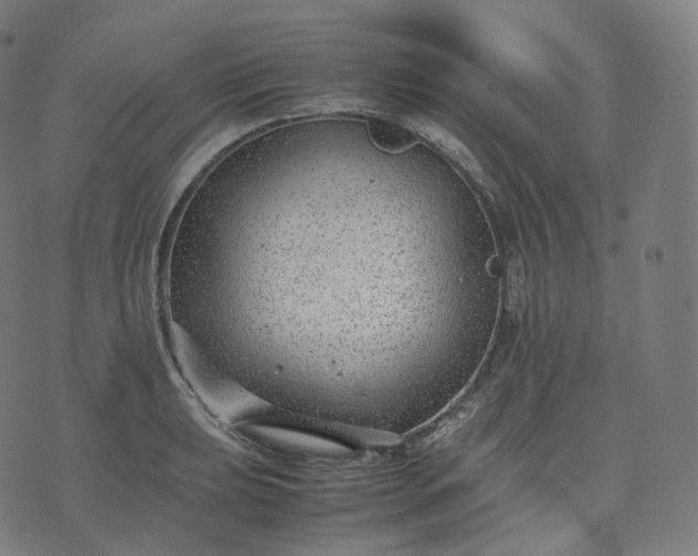 X0000070371039200606231642