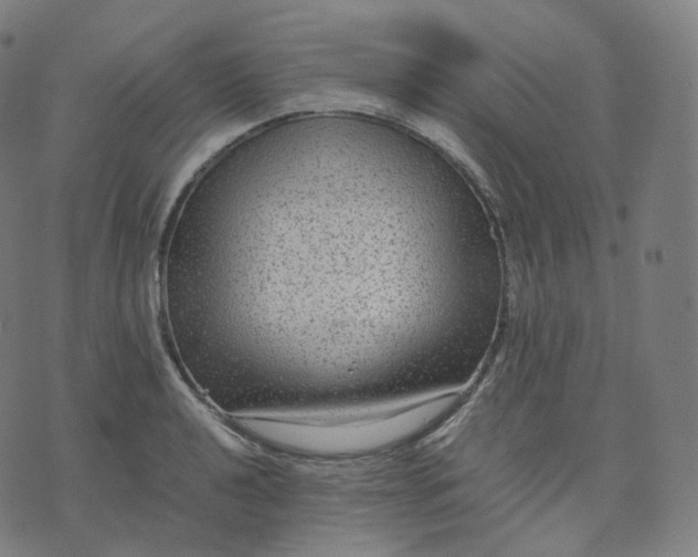 X0000070371040200606231642