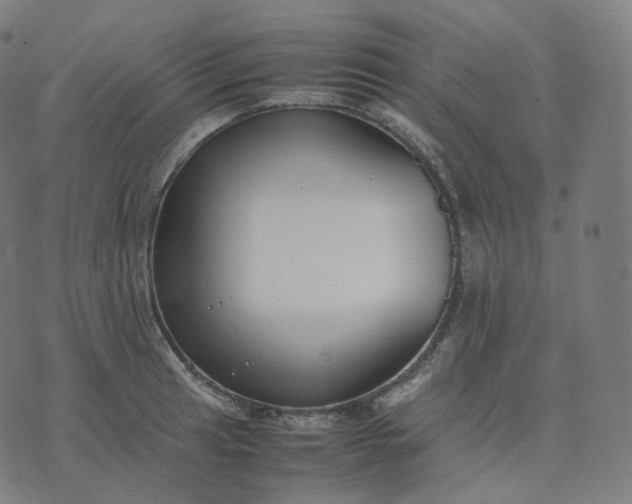 X0000070371041200606231642