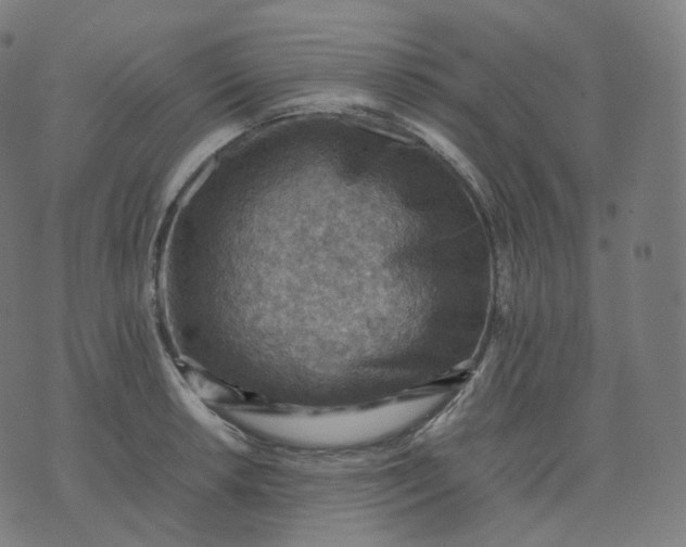 X0000070371042200606231642