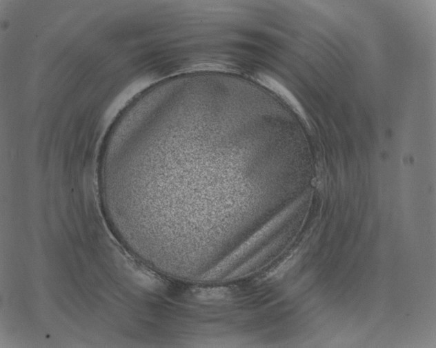 X0000070371043200606231642