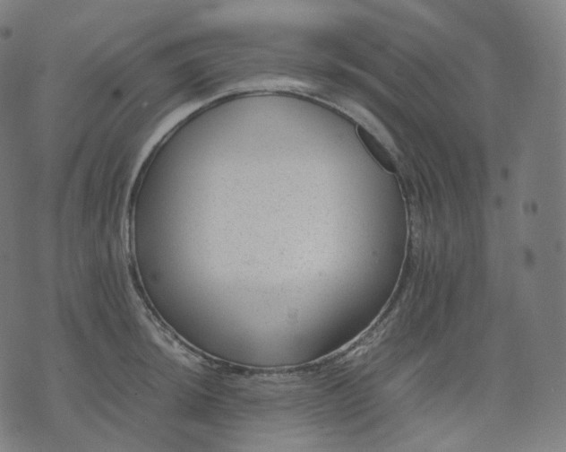 X0000070371044200606231642