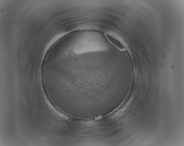 X0000070371045200606231642