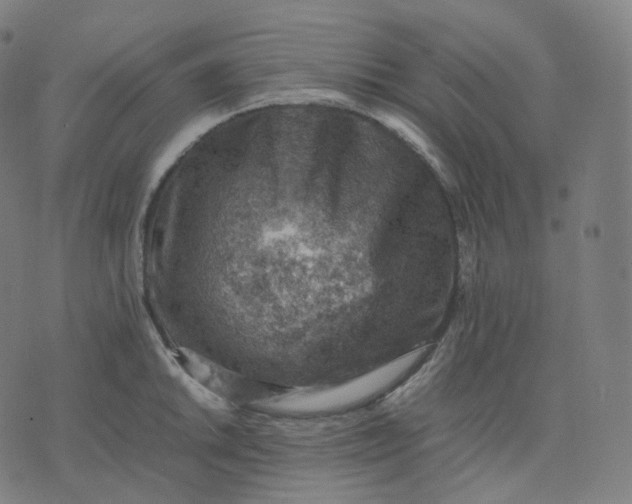 X0000070371046200606231642