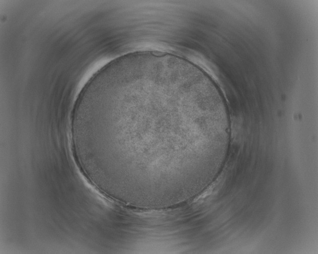 X0000070371048200606231642