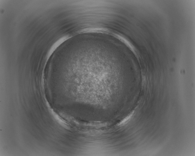 X0000070371050200606231642