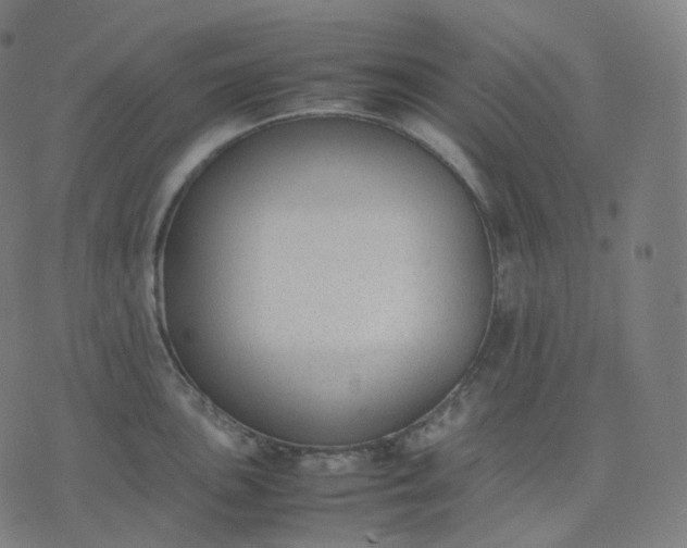 X0000070371051200606231642