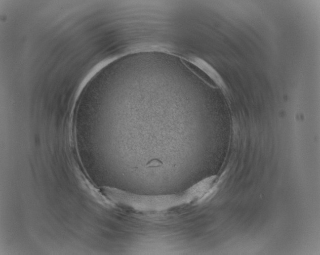 X0000070371052200606231642